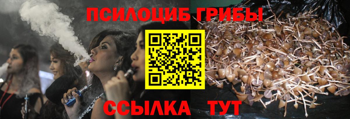 Галлюциногенные грибы MAGIC MUSHROOMS Славянск-на-Кубани